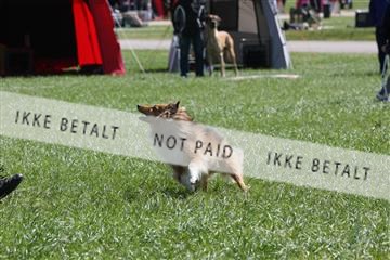 134871_ms_02_IMG_3004.JPG