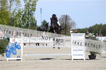 181436_avh_02_4077.JPG