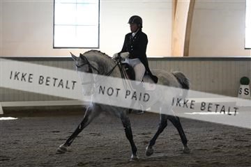 139267_kl_1_8M1Q6982.JPG