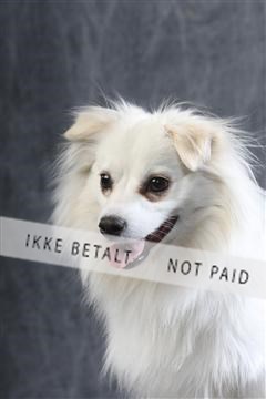 129608_le_ 01_0321.JPG