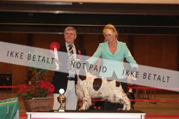 124188 _tl_02_IMG_9344.JPG