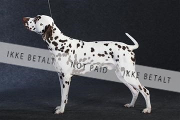 132082_le_ 01_IMG_1064.JPG