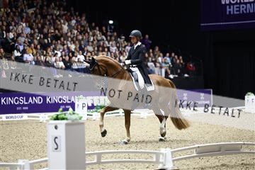 182194_avh_07_4059.JPG