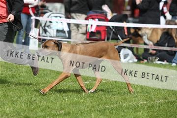 134871_ms_04_IMG_0637.JPG
