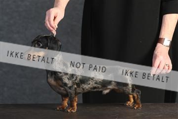 132082_le_ 01_IMG_0171.JPG