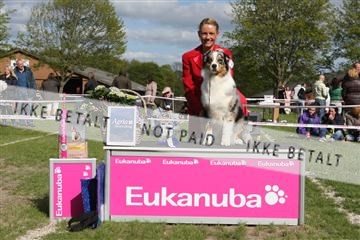 134871_ms_04_IMG_1318.JPG