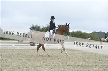 169624_kbb_01__KBB8260.JPG