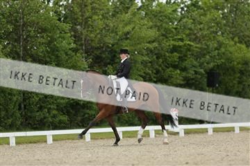 139835_sg_01_IMG_7512.JPG