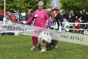 134871_ms_04_IMG_0603.JPG