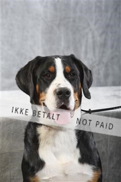 129608_le_ 02_0426.JPG