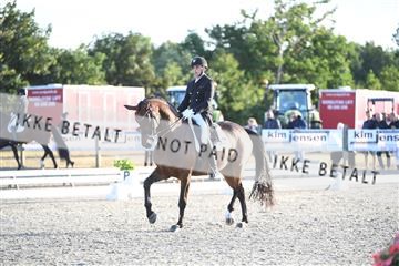 166078_kuo_01_D05_7333.JPG