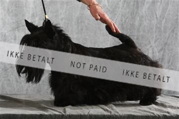 129608_le_ 02_0105.JPG