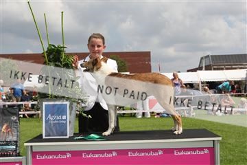 130370_le_02_IMG_8508.JPG
