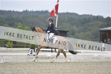 169624_kbb_01__KBB8157.JPG