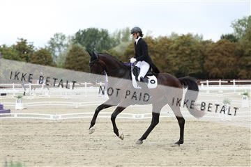 181923_mtp_03_R62_7419.JPG