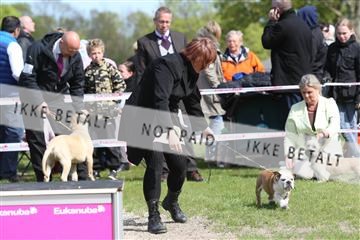 134871_ms_02_IMG_3468.JPG