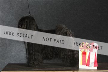 132082_le_ 01_IMG_1527.JPG