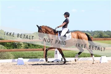 181449_bc_01R62_5795.JPG
