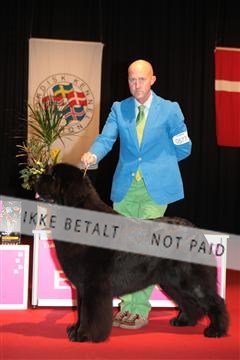 126827_tl_02_IMG_3161.JPG