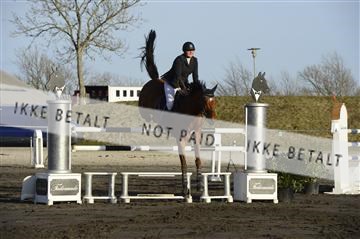 139403_ms_01__MS18869.JPG