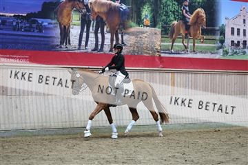 181887_mtp_05_R62_9878.JPG