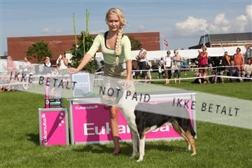 130370_se_03_IMG_7759.JPG