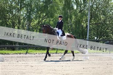 168732_mtp_01_3M5A6970.JPG