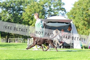 182009_rin_03_R62_3374.JPG
