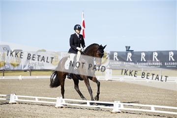 181449_kbb_01_6II9770.JPG