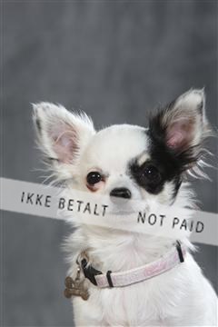 130054_le_ 03_0175.JPG