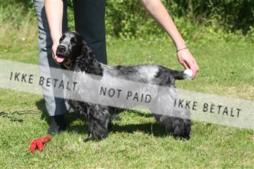 130370_se_03_IMG_7243.JPG