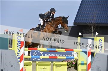 139644_abo_02__AB14716.JPG