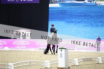 182194_avh_06_3309.JPG