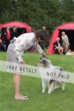 130370_tl_01_IMG_7151.JPG