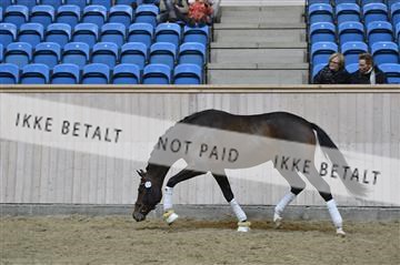 139327_abo_01__AB10335.JPG
