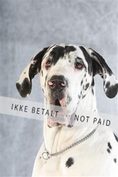 129608_le_ 02_0314.JPG