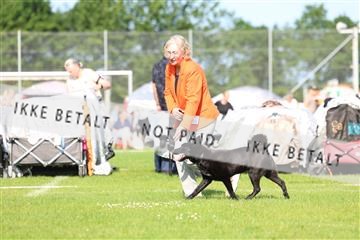 181564_rin_02_R62_1015.JPG