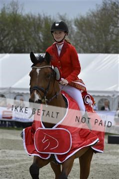 139644_abo_05__AB19990.JPG