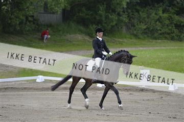 140040_abo_01__AB17454.JPG