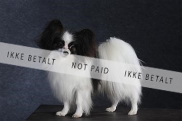 132082_le_ 01_IMG_1572.JPG