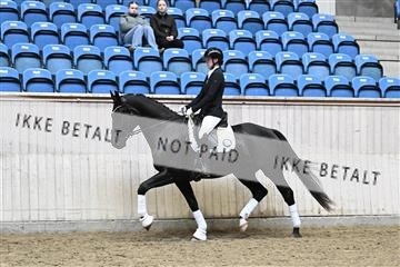 182241_kbb_01_Z095035.JPG