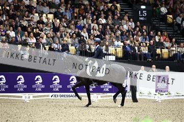 182194_avh_07_4397.JPG