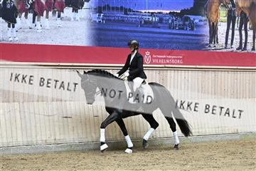 182241_kbb_01_Z094478.JPG