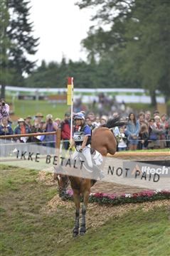 144462_bc_22__BC15955.JPG