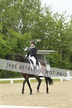 139835_sg_01_IMG_7295.JPG