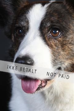 132082_le_ 01_IMG_0605.JPG