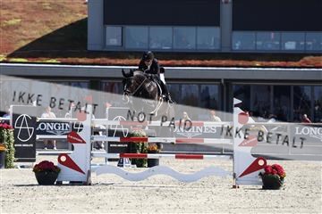 181436_avh_02_3683.JPG