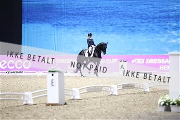 182194_avh_07_3942.JPG