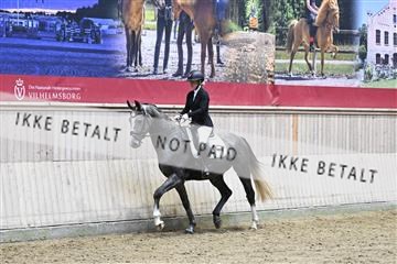 182241_kbb_01_Z093507.JPG