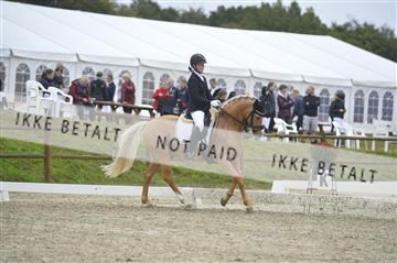 169624_kbb_01__KBB8231.JPG
